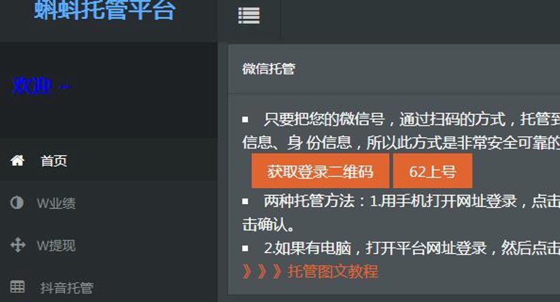 SEO站群策略引领网站新风向